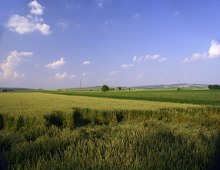 paesaggio di campagna