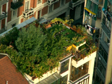 il giardino di Bruno visto dall'alto