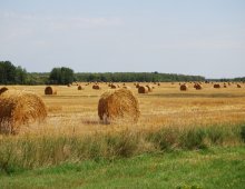 panorama di un campo 