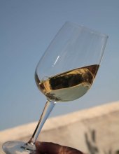 vino bianco