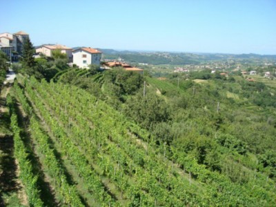 il collio brda