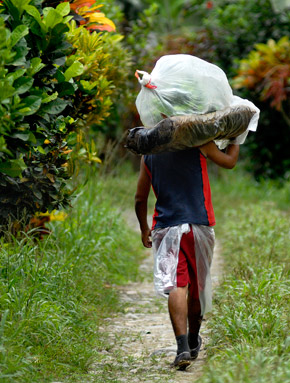 un lavoratore trasporta prodotti Fairtrade