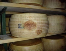 parmigiano