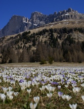 dolomiti