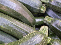 zucchine