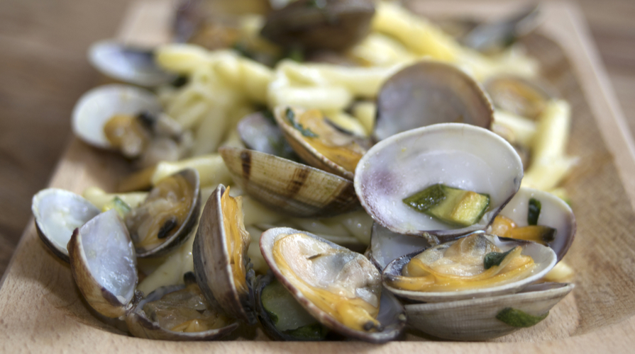 garganelli vongole canocchie e zucchine