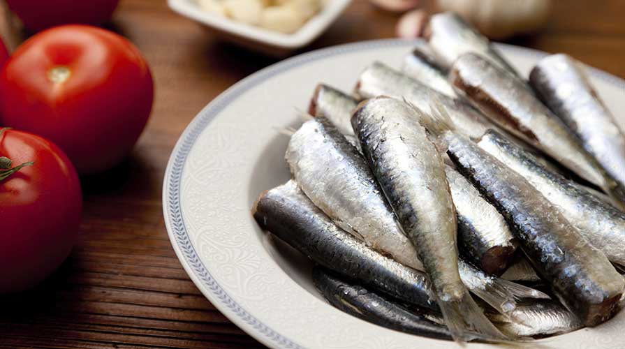 pesce azzurro terrina