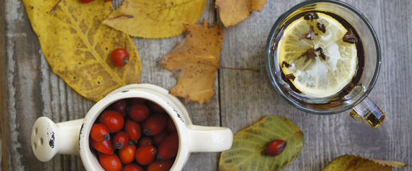 ricetta-tisana-rosa-canina