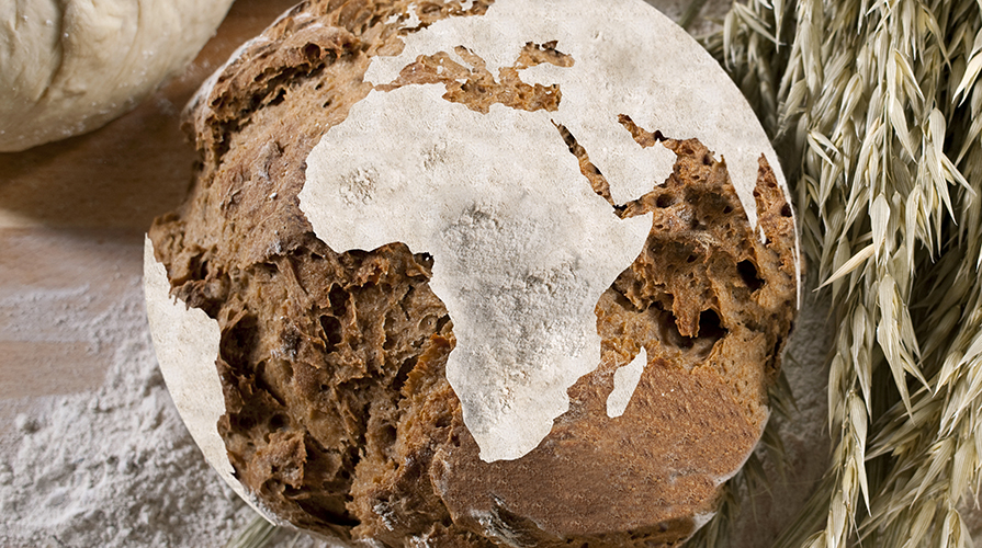 l-oro-dei-molini-dalla-terra-il-pane