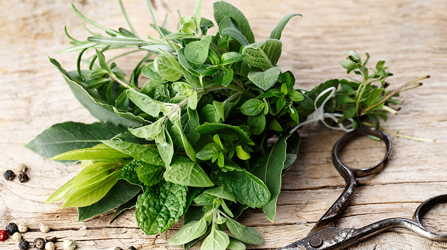 erbe-aromatiche-in-balcone