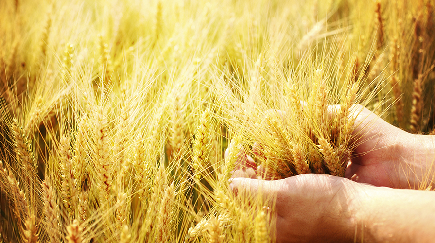 tutelare la biodiversità