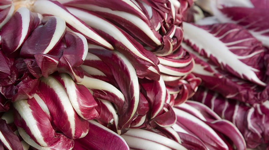 Radicchio Rosso di Asigliano