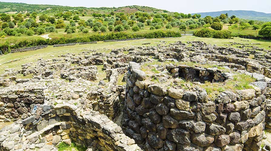 Vitigno più antico del Mediterraneo Occidentale