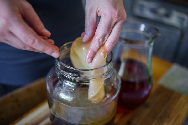 fare il kombucha