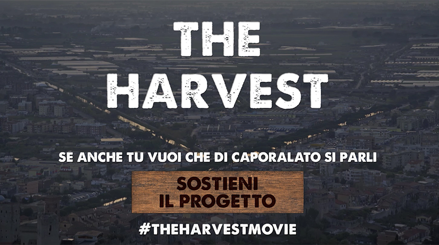 The Harvest