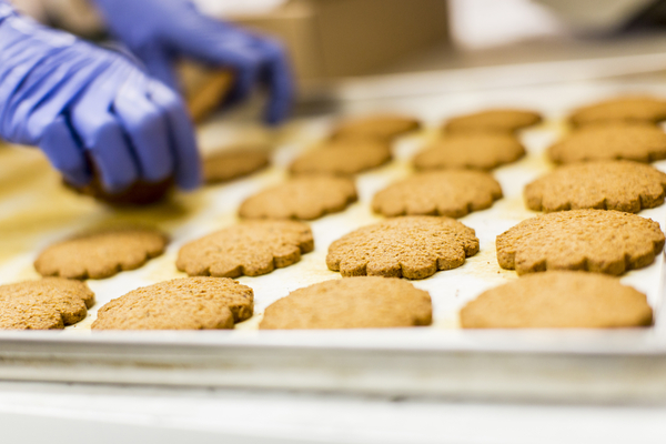 biscotti olio di palma