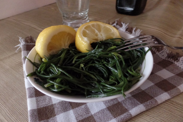 agretti-in-agro