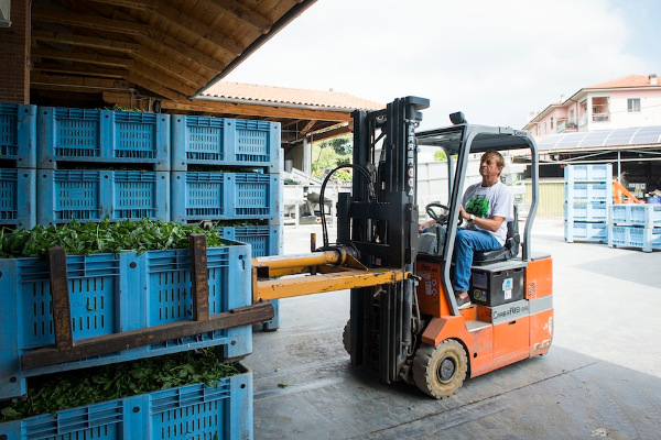 azienda anfossi