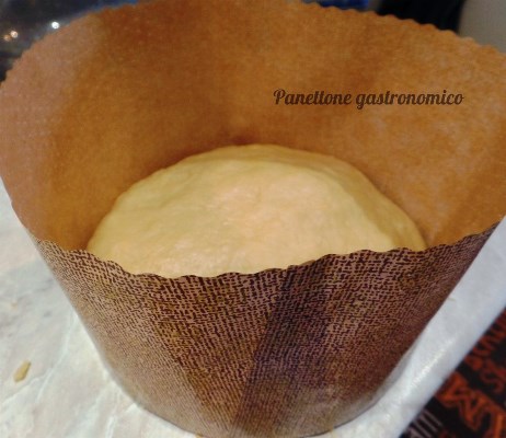 panettone gastronomico lievitazione