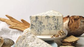 sagra gorgonzola