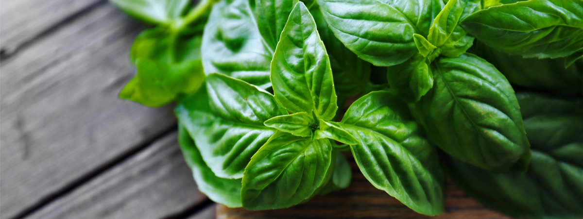 foglie di basilico su un tagliere