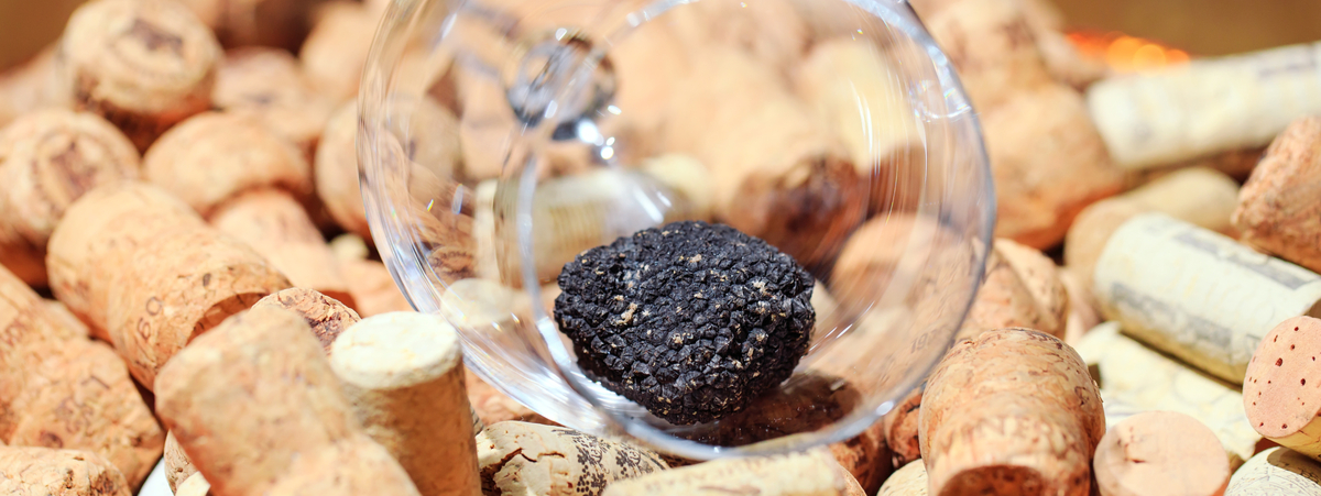 Vini da abbinare al tartufo