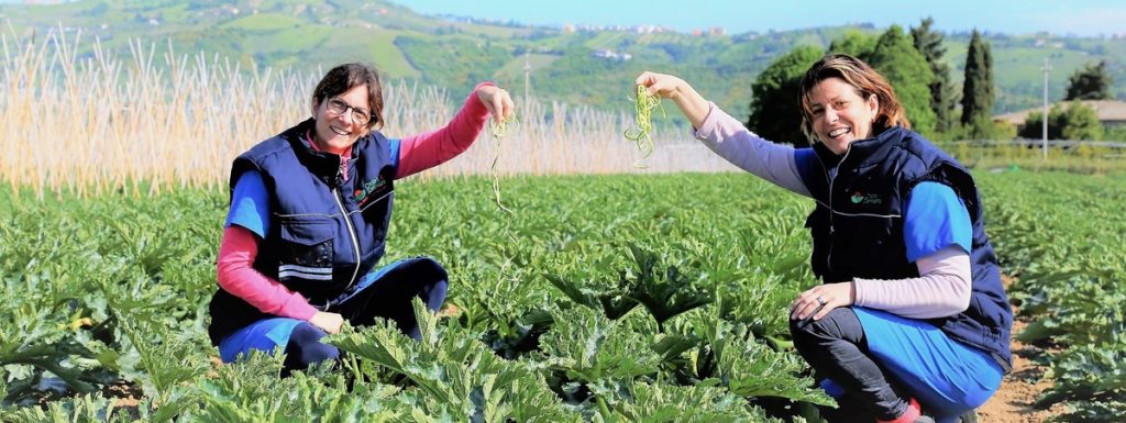 le donne dell'ortofrutta