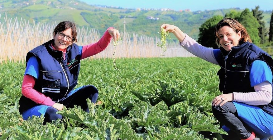 le donne dell'ortofrutta