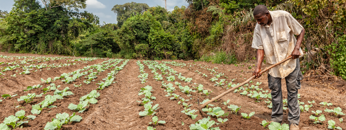 crisi climatica agricoltura africa