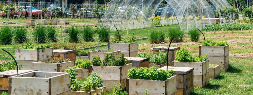 agricoltura urbana lombardia