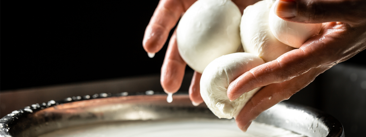 mozzarella di bufala